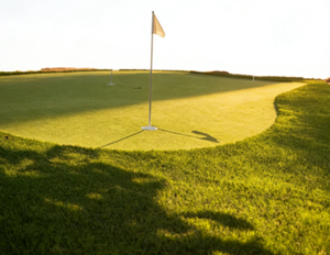 Gazon synthétique de haute qualité personnalisé pour terrain de golf, gazon vert en rouleau, gazon d'intérieur et d'extérieur, vente directe d'usine - Product Image 4