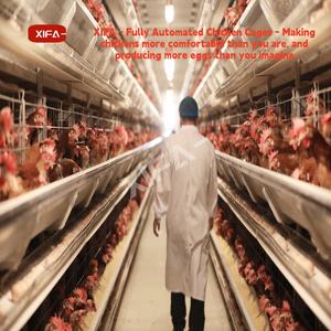 Équipement de collecte <span class=keywords><strong>d</strong></span>'œufs automatique à haute efficacité pour système de cages en batterie pour poules pondeuses avec convoyeur <span class=keywords><strong>d</strong></span>'œufs motorisé - Product Image 5