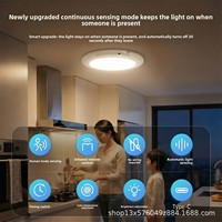 Lámpara de Techo con Sensor de Movimiento, Recargable por USB Tipo-C, Magnética, Inalámbrica, con Control Remoto, Luz Nocturna LED para Cocina y Vestíbulo