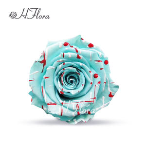 زهري رائج البيع لون وردي محفوظ رأس 7-8 قوس قزح متعدد الألوان طبيعي أزهار أبدية لتزيين الطاولة DIY - Product Image 5