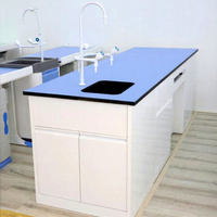 Table de travail moderne en métal pour écoles et laboratoires hospitaliers avec plan de travail en résine phénolique