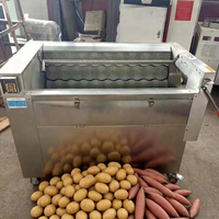 Commerciële borstelwas- en schilmachine, automatische roestvrijstalen groente- en fruitwasser/schiller voor aardappel, wortel, gember