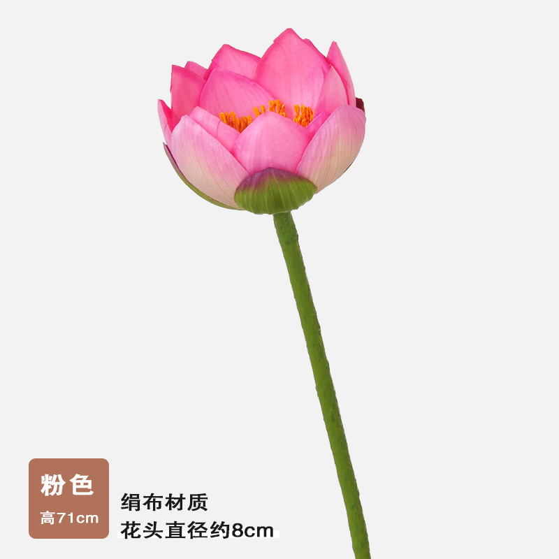 Single small lotus-powder