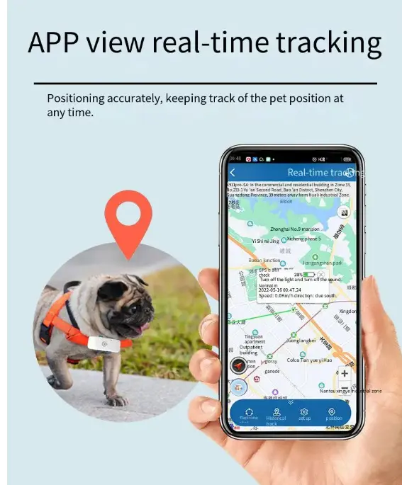 Pelacak kerah GPS 4G hewan peliharaan, pelacak cerdas dapat dipakai GPS tahan air anti Maling 2024