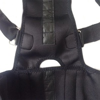 Nuevo Corrector de Postura Ortopédico para Hombros y Columna Vertebral, Corsé Corrector de Espalda con Terapia Magnética, Cinturón de Soporte Lumbar