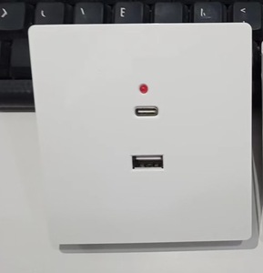 Minimalist White Wall <b>Switch</b> 1-Way <b>Touch</b> Control IP20 PC Material 1A 240V Wi-Fi Enabled Smart Life App 2 USB a Ports - Product Image 6