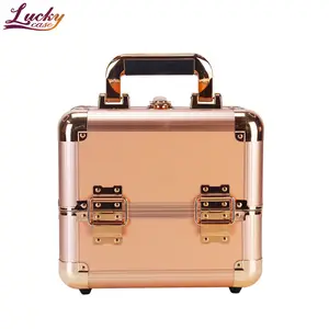 Pink Makeup Train Case Make Up Organizer Box mit Schlössern und 2-Deck-Klappschalen Tragbare Aufbewahrung sbox