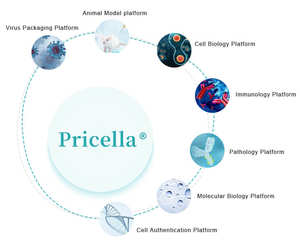 सेल कल्चर के लिए संतुलित नमक और बफर 1 मीटर ढेर - Product Image 4