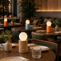 Lampe de table globe moderne sans fil rechargeable DC, à intensité variable tactile, lumière de couleur personnalisable pour restaurant, hôtel, chambre à coucher