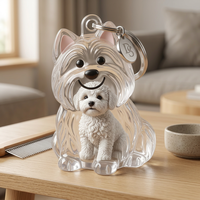 Boîte de rangement transparente pour poils d'animaux de compagnie, porte-clés pour chien, capsule souvenir, pendentif décoratif pour propriétaires d'animaux