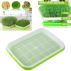 Plant Hydroponic Sprouts Growing Vegetables Bean Sprouts Home Plate Tray Kit