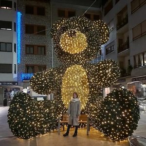 Oso Luminoso Navideño para Centro Comercial, Decoración Navideña Luminosa de Hierro con Luces LED, Adornos de Oso Grande con Iluminación Estéreo 3D para Exteriores - Product Image 1