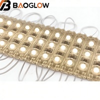 Modules LED étanches IP65 pour extérieur, AC 220V SMD 2835 2W, blanc chaud/froid, modules LED injectés pour enseignes et éclairage publicitaire