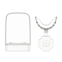 Kit de blanqueamiento dental empaquetado OEM con luz de 28LED recargable aprobado por Ce con uso doméstico de Gel sin peróxido