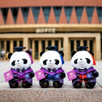 Mascotte en peluche mignonne, fabricant sur mesure, poupée en peluche douce Panda, cadeau de remise de diplôme, souvenir universitaire, OEM ODM