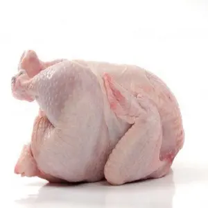 全鸡冷冻清真巴西转基因食品批发冷冻鸡供应商低脂巴西冷冻全鸡好价格