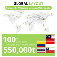 OEM 5KG Aroma Sesuai Pesanan Penggumpalan Cepat Daya Serap Tinggi Rendah Debu Pengontrol Bau Pasir Kucing Bentonit