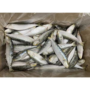 <span class=keywords><strong>Precio</strong></span> <span class=keywords><strong>de</strong></span> pescado <span class=keywords><strong>de</strong></span> sardina congelada <span class=keywords><strong>Sardinas</strong></span> a granel La Plus Moins Cher Manefactring off Sardine - Product Image 5