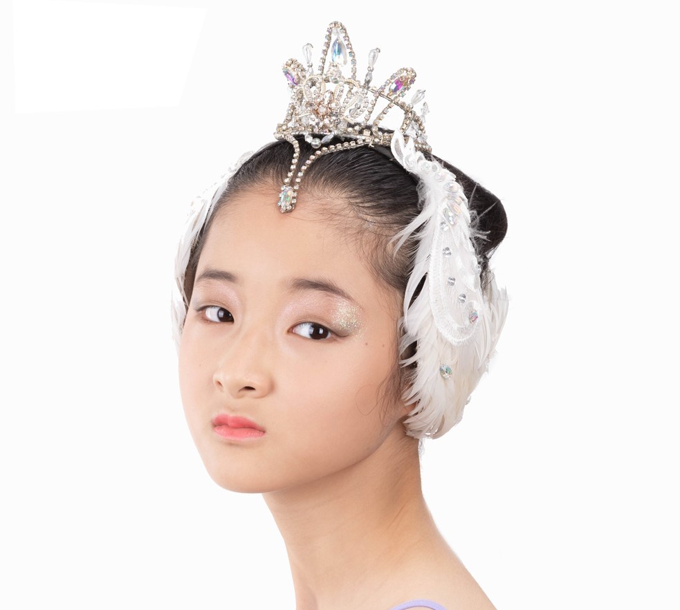 Accessoires Cheveux Plume Cygne - 4 Pièces (Noir Et Blanc) - Pour Mariage, Ballet, Fête Ou Déguisement