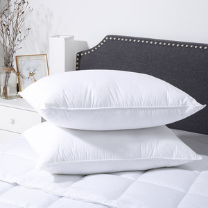 Coussin de lit en duvet et plumes, doux et moelleux, avec enveloppe en coton, pour salon et maison, forme et couleur personnalisables, vente en gros directe d'usine - Product Image 3