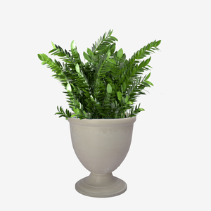 Serre de culture en plastique, pot de fleurs, pot pour plantes, décoration de jardin, style romain - Product Image 6