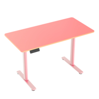Mobilier de bureau moderne de luxe Bureau debout électrique à double moteur réglable en hauteur Bureau assis-debout en métal de haute qualité