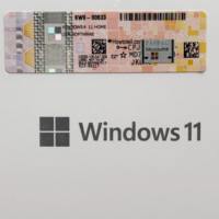 Best Price Windows11 Home OEM Internet DVD Full Package Guaranteed Global Online Activation License Stock US Origin Accept