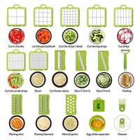 Groothandel Fruit-En Groenteverwerkingsmachines Abs Ontwerp Groentesnijder 22in1keukengadgets Groentechopper