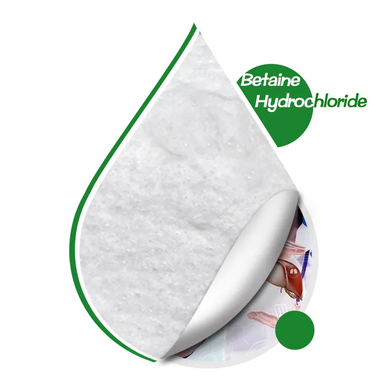 Harga pabrik ISO bubuk Betaine hidroklorida 590 "-46-5" Kualitas Makanan 25KG murni Betaine HCL tersedia