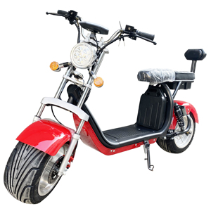 Motocicleta Eléctrica E Chopper 250 W Touring, Disponible en UE y EE. UU., Citycoco con Aprobación DOT y COC, con Batería - Product Image 3