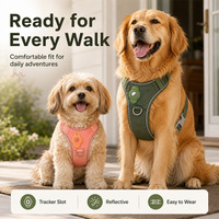 Kit de laisse et collier pour animaux de compagnie en nylon robuste, ajustable, pour chiens de petite, moyenne et grande taille, fournisseur