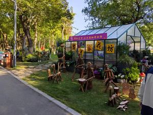 بيت زجاجي فاخر كبير للزراعة المائية، مصنوع من البولي كربونات، للاستخدام الزراعي - Product Image 4