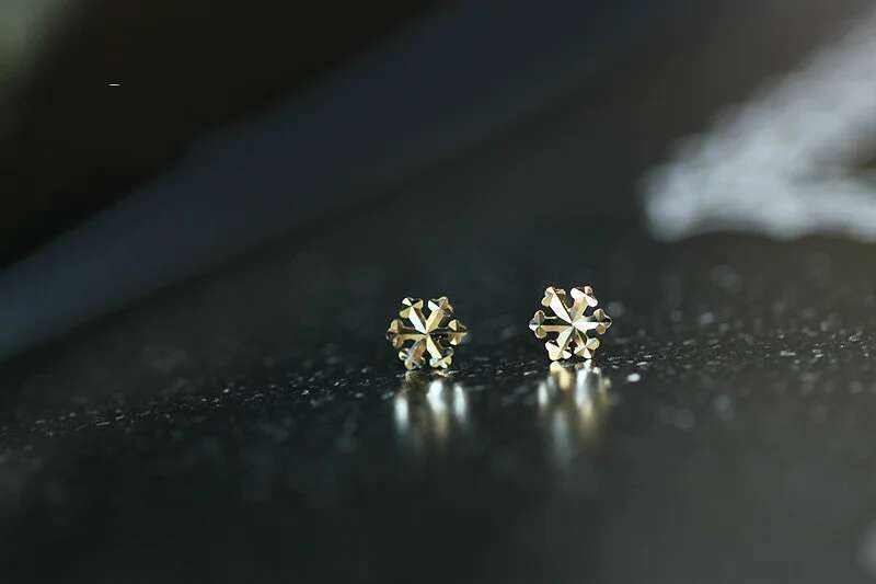 เกล็ดหิมะ1คู่