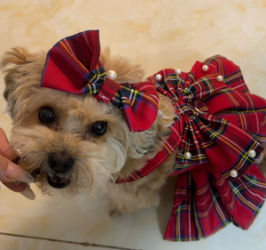 Vestido a Cuadros para Perro Pet JK, Diseño con Lazo, Dacrón, Talla Pequeña, Ideal para <span class=keywords><strong>Cumpleaños</strong></span> de Bichón Frisé y Corgi - Product Image 1