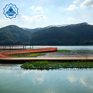 Pontili Galleggianti e Boe - Piattaforma Galleggiante per Laghi e Serbatoi, Passerella Panoramica con Pavimentazione Effetto Legno - Product Image 3