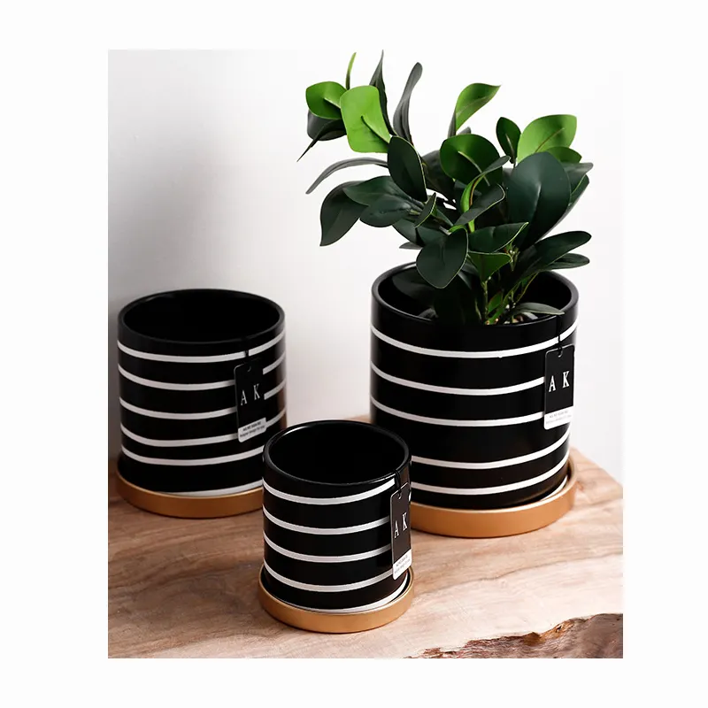 4.3" inch Black Ceramic Plant Pots 4 Inch with Golden Saucer plant pot shop