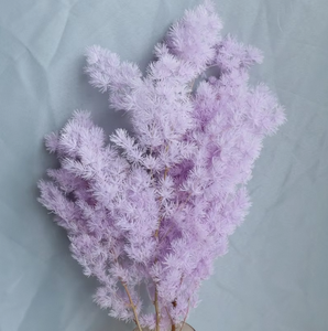 Bouquet de fleurs romantiques au toucher réel, Asparagus Myrioeladus Ming Fern préservé, éternel, DIY, Pampas, tiges en gros - Product Image 4