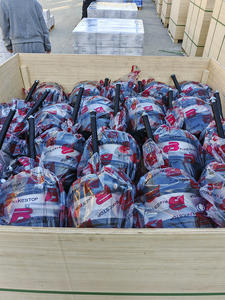 Accessoires de frein à <span class=keywords><strong>air</strong></span> pour semi-remorque T24/24DP <span class=keywords><strong>Chambre</strong></span> de frein à tambour à ressort 9253212020 de l'usine chinoise - Product Image 5