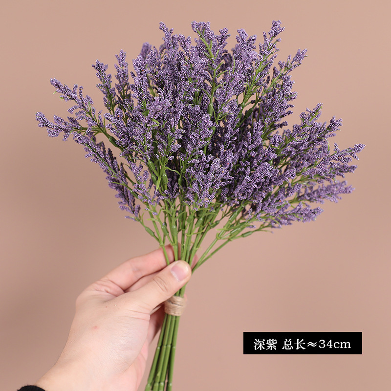 Violet foncé