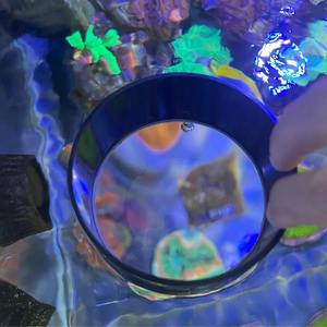VASTOCEAN Akvaryum 3 Kat Optik Büyüteçli Görüntüleyici, Mercan Gözlem Filtresi, Deniz Balıkları Mercan Görüş Lensi - Product Image 5