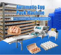 Ligne de production automatique de lavage, séchage, désinfection, pesage, triage et emballage des œufs - Équipement de traitement des œufs pour élevages avicoles