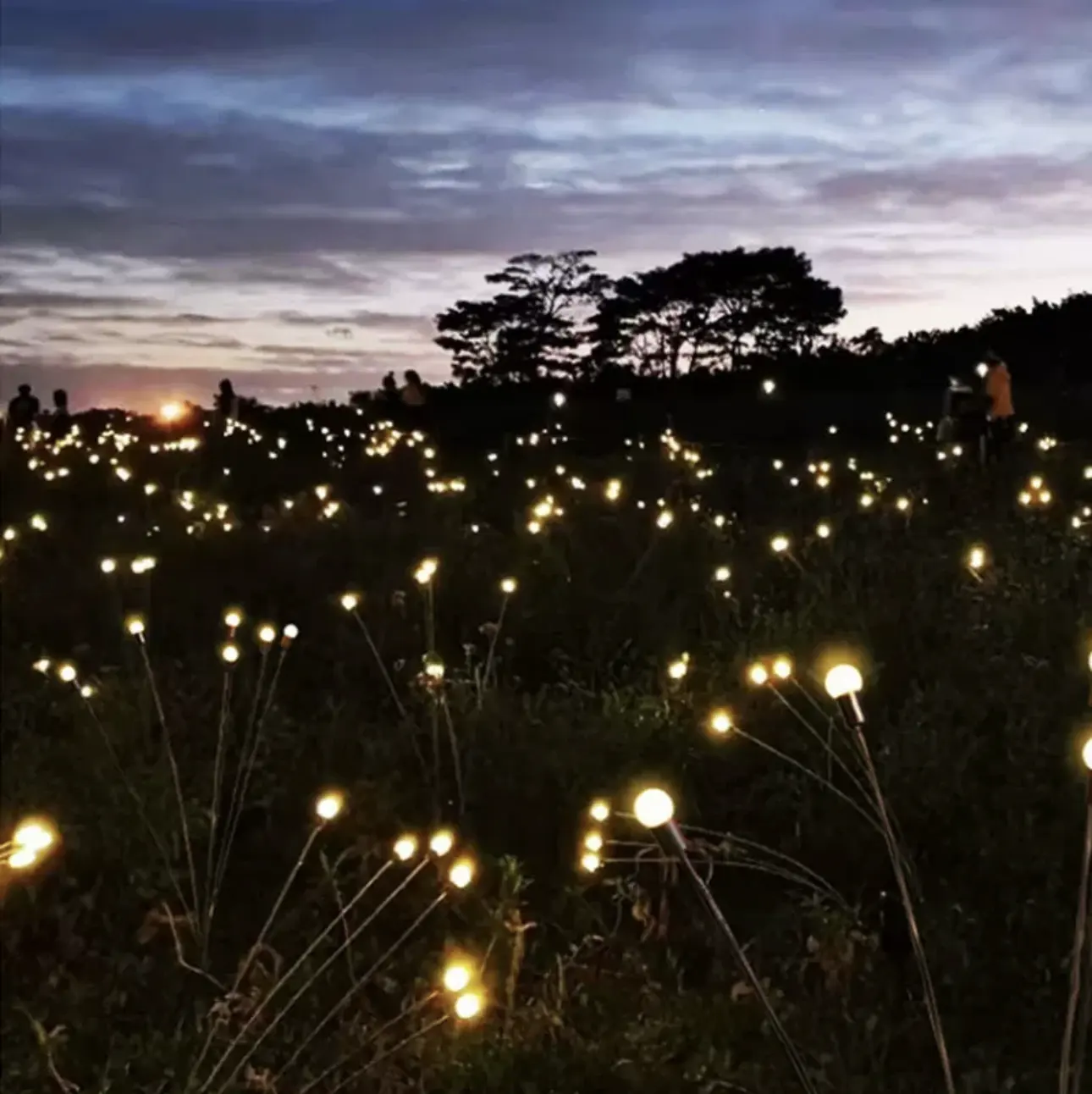 Güneş Firefly lambası 6/8/10 led Firefly yol lambası açık avlu dekorasyon su geçirmez bahis ışıkları bahçe için