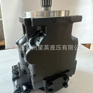 ปั๊มไฮดรอลิกแบบลูกสูบ Sao Jrr045 Jrr060 Jrr065 Jrr074 Frr074 Frr090 สำหรับเครื่องจักรก่อสร้าง - Product Image 4