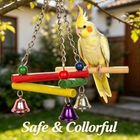 Balancelle suspendue minimaliste et moderne pour perroquet, construction légère, clochettes sonores claires, jouet d'enrichissement pour oiseaux, utilisable en intérieur et en extérieur