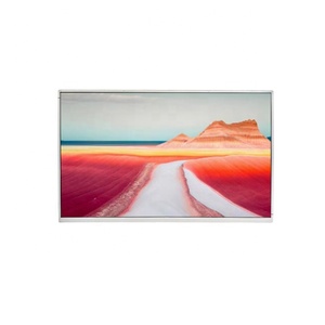 <span class=keywords><strong>LG</strong></span> 21.5 pouces M215WF9 SL <span class=keywords><strong>B1</strong></span> LVDS 30 broches 250 nits panneau d'affichage LCD 1920*1080 module LCD pour ordinateur PC - Product Image 5