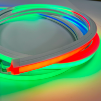 Vente en gros de bandeaux lumineux LED néon personnalisés 60 LED/m 12V UCS1903, tube néon LED, bande lumineuse néon RGB de 5 mètres pour l'éclairage paysager
