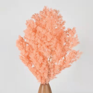 <span class=keywords><strong>Helechos</strong></span> de Ming Naturales Preservados al por Mayor, Asparagus Myrioeladus, Vegetación Ecológica de Bajo Mantenimiento, Año Nuevo Chino, Navidad - Product Image 5