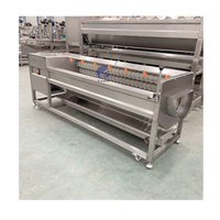 Fabrieksdirect automatische fruit- en groentewasser, mango-, aardappel- en cassave-schiller, wortelwas- en schilmachine