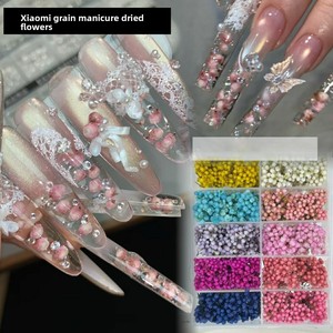Piccoli Fiori Secchi Giapponesi <span class=keywords><strong>per</strong></span> Nail Art: Decorazioni Fresche Stile Ins con Gypsophila, Stelle e Riso <span class=keywords><strong>per</strong></span> <span class=keywords><strong>Unghie</strong></span> Fai da Te - Product Image 4