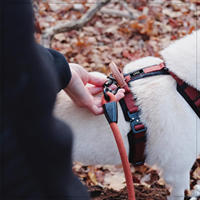 Harnais de poitrine pour chien tendance, confortable, avec coutures durables, en tissu maille respirant pour les promenades quotidiennes, les voyages et les activités de plein air